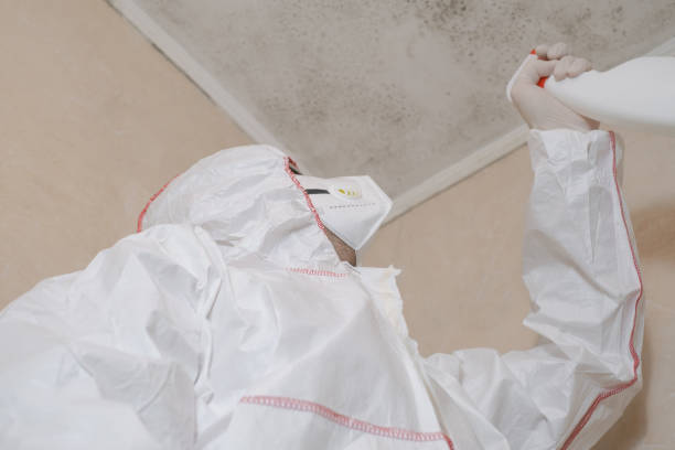 Best Crawl Space Mold Removal  in St Charles, MI